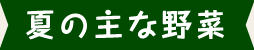 夏の主な野菜